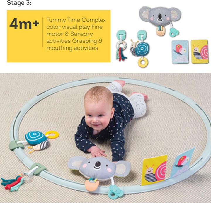 Actual product image Taf Toys Activities Hoop All Around Me