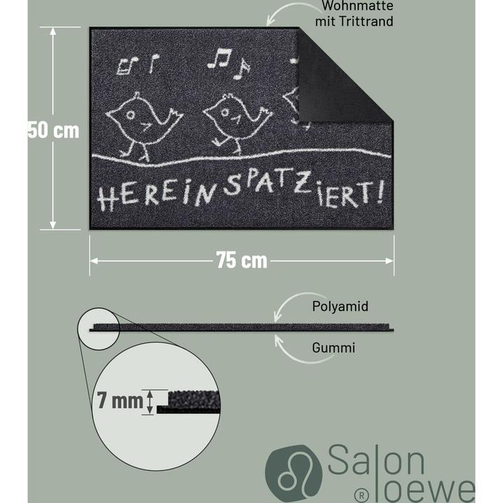 Image du produit Salonloewe Entrez (75 x 50 cm)