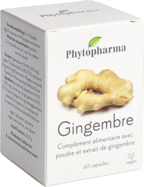 Actual product image Phytopharma Ginger (60 Piece, Capsules, 55 g)