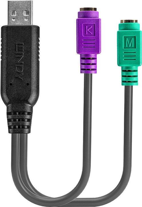 Actual product image Lindy 42651 Cable Adapter USB A 1.1 2 x Mini DIN 6 Pin Black (Mini DIN)