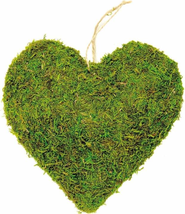 Immagine prodotto Glorex Cuore di muschio 12 cm