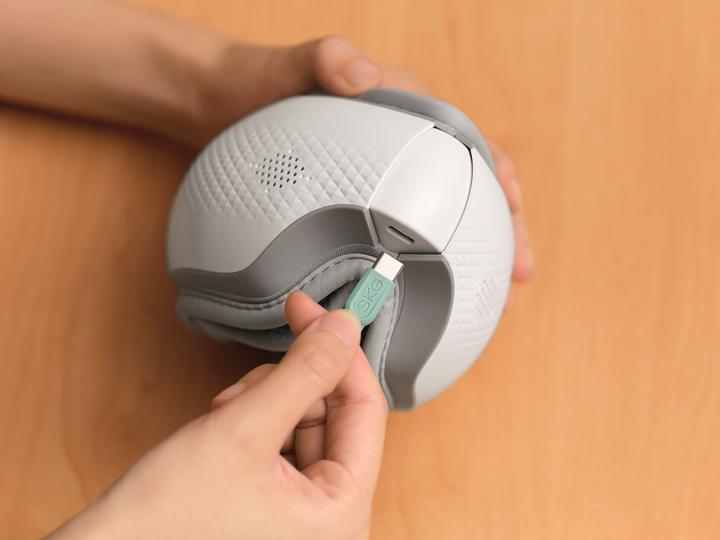 Immagine prodotto SKG ES300