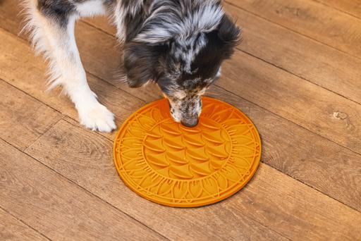 Image du produit Beeztees Tapis à lécher Tournesol