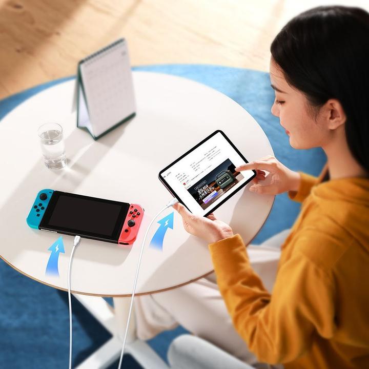 Image du produit Ugreen Câble US562 USB-C / USB-C PD 100W 2m - blanc (2 m, USB 2.0, 100 W)