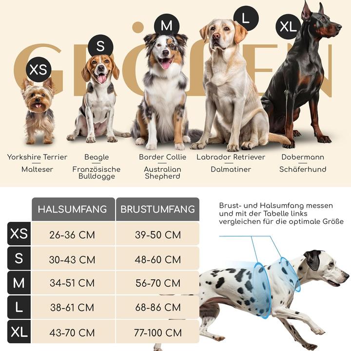 Actual product image Freudentier Clyde (S, Dog, General)