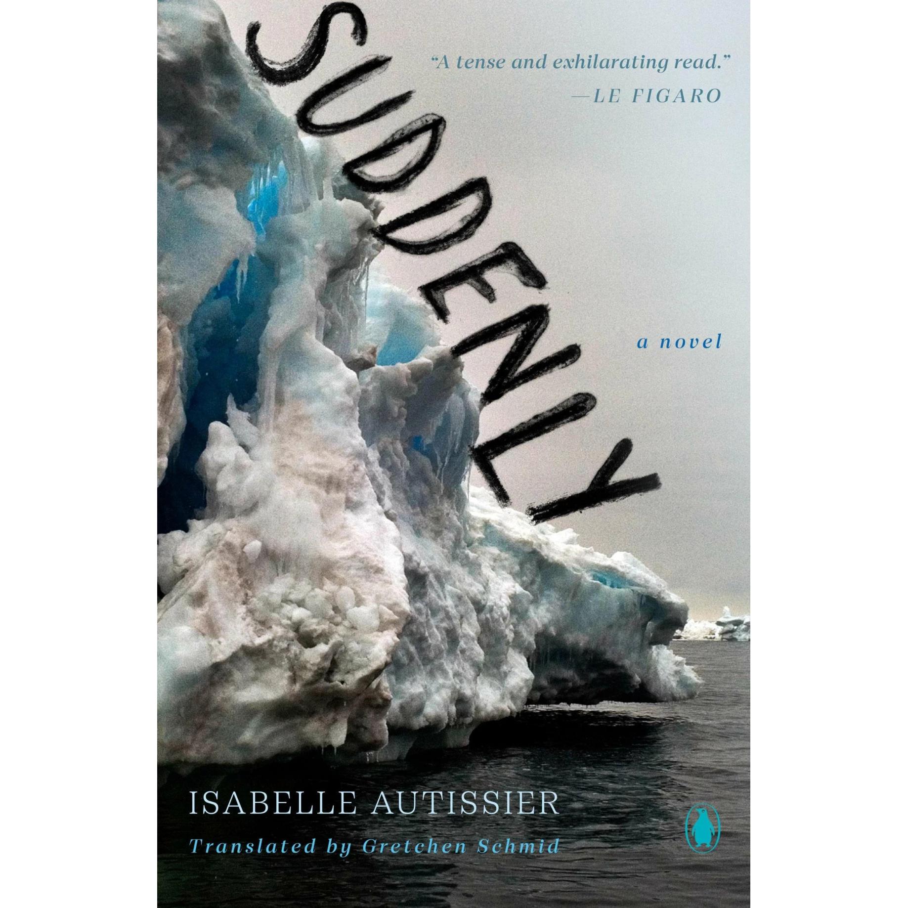Suddenly, Belletristik von Gretchen Schmid, Isabelle Autissier
