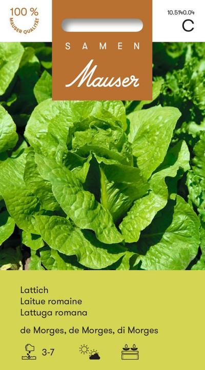 Image du produit Samen Mauser Lattich de Morges (Graines de légumes)