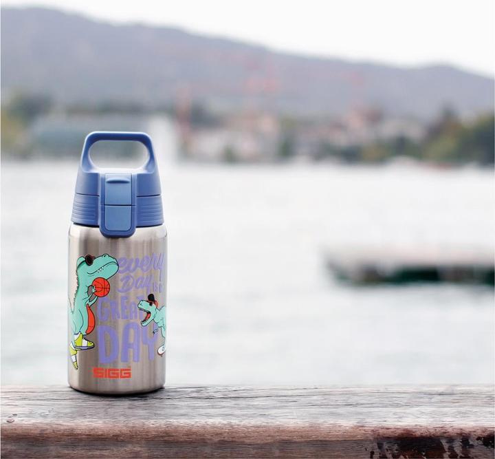 Actual product image Sigg Great Day (0.50 l)
