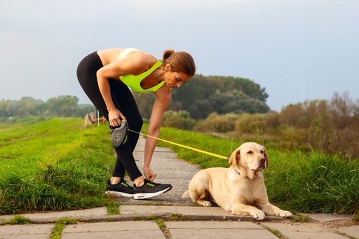 Immagine prodotto Flexi Gigante (M, Cane, Passeggiare)