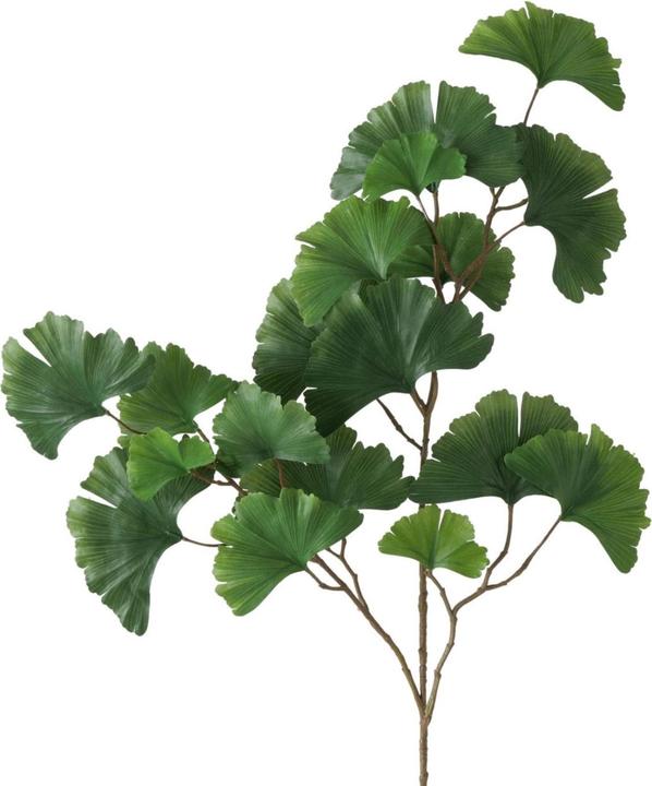 Boltze Home Gingko (2 cm)