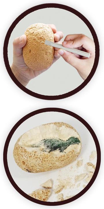 Image du produit Buki Coffret Oeufs Dino