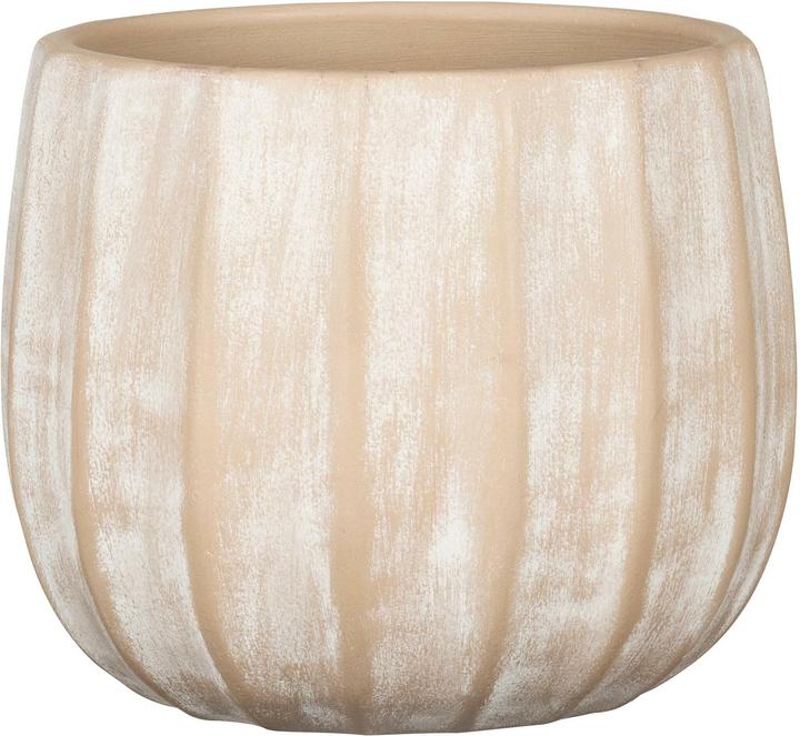 Produktbild Scheurich Runa (25.50 x 20 cm)