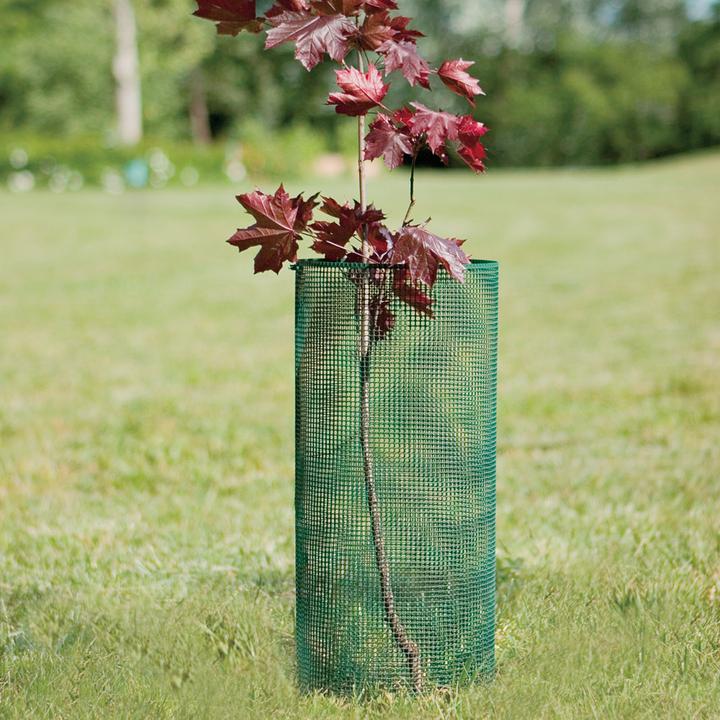 Actual product image Tenax Quadra