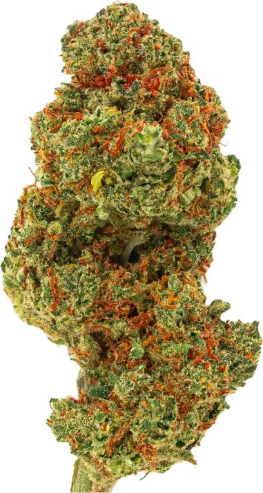 Image du produit Green Passion Fruit Punch (5 g, Serre)