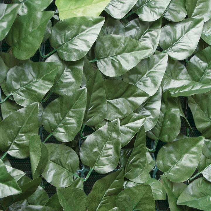 Produktbild Tenax Divy Laurus (300 cm)