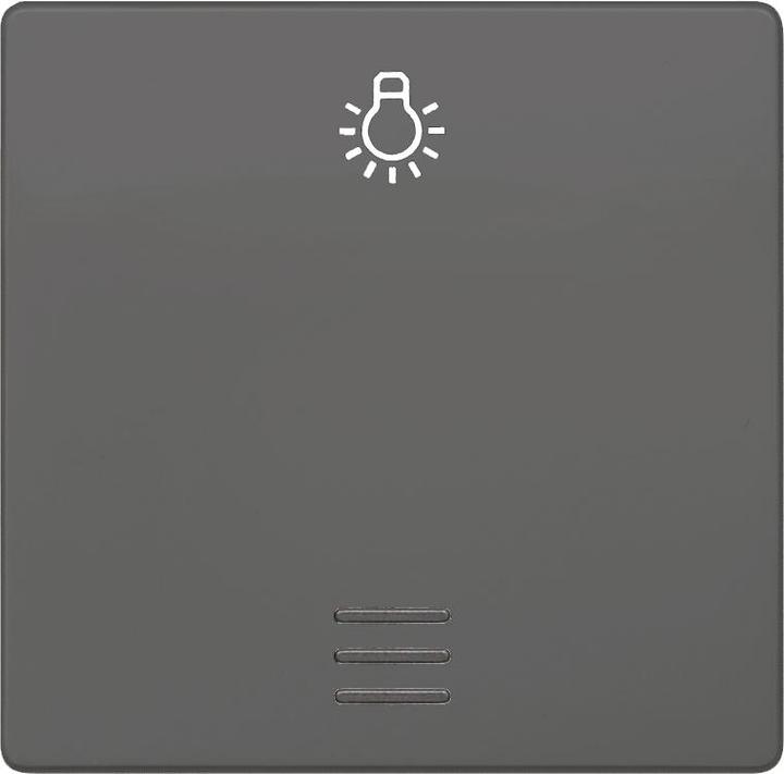 Produktbild Siemens Kontrollwippe Schalter DELTAi-system 5TG6226