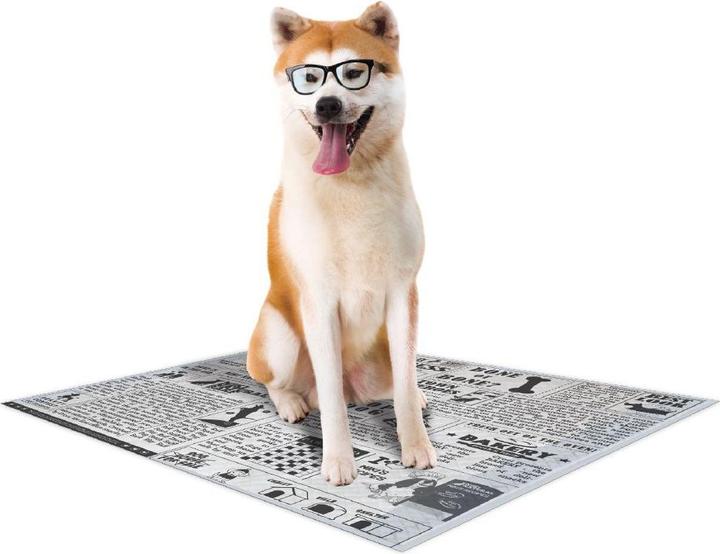 Croci tapis pour chien super nappy newspaper (x60) (Chien)