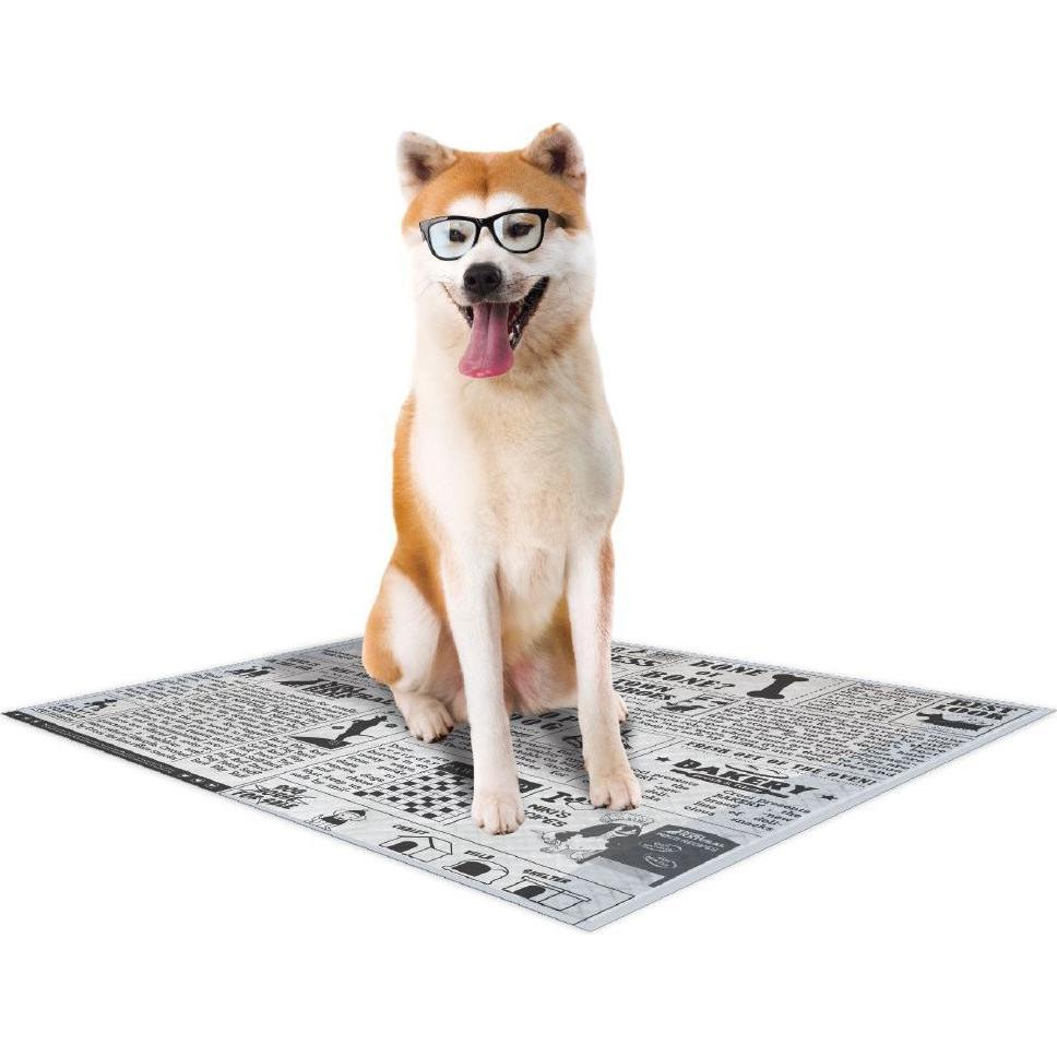 Croci hundematte super nappy newspaper (x60) (Hund), Hundebett + Katzenbett