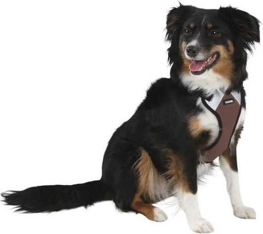 Image du produit Kerbl Pulsifier (Chien, Sport canin)