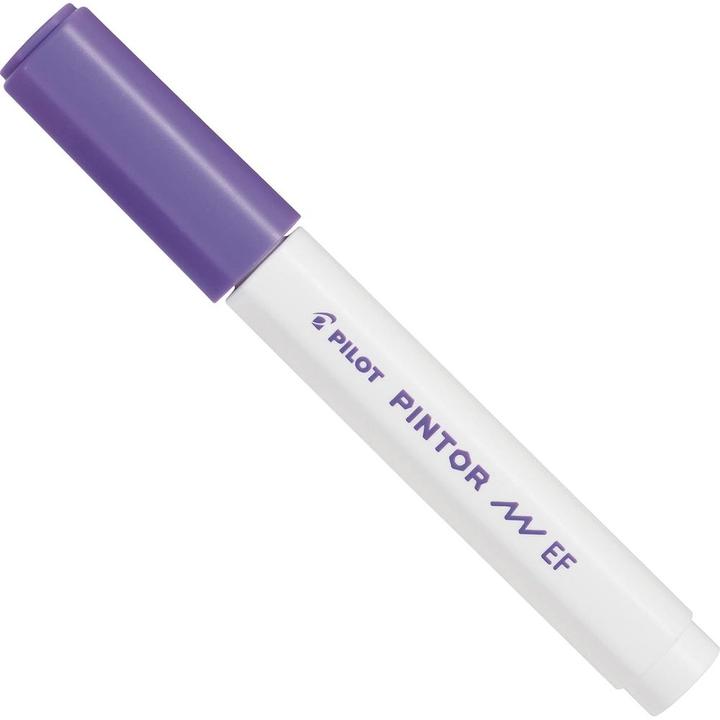 Image du produit Pilot Pintor Extra Fine