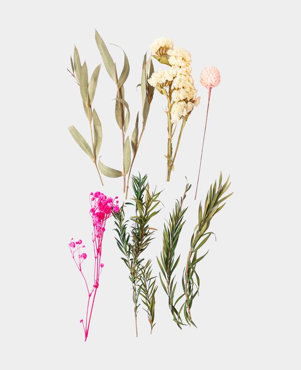 Immagine prodotto I Am Creative Set di fiori secchi (Fiori secchi)