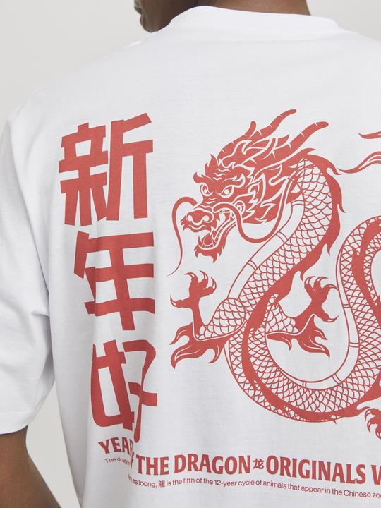 Produktbild Jack & Jones Jorsnake Tee Ss Crew Neck Tg Ln (XXL)