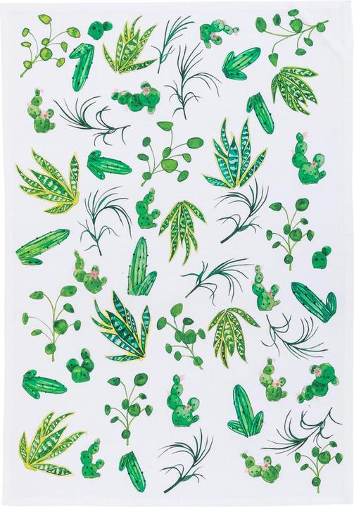 Produktbild Lili Pepper Kidane (70 x 50 cm)
