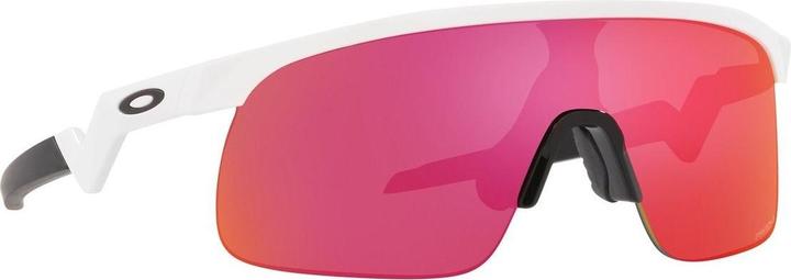 Actual product image Oakley Resistor (Polished white, White glossy, prizm field)