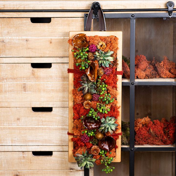 Produktbild Flowerbox Islandmoos