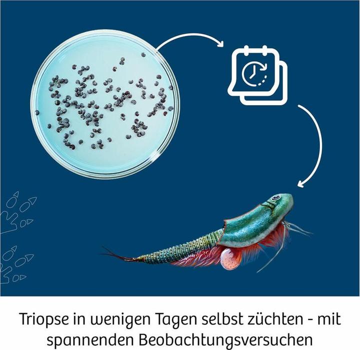 Produktbild Kosmos Triops World INT