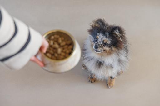 Actual product image Designed by Lotte Dog bowl Meis (0.16 l)