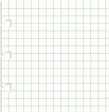 Filofax Inserto per raccoglitore ad anelli per notebook (A4, Quadretti)
