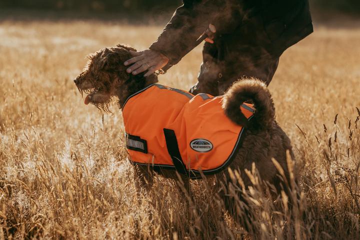 Image du produit Weatherbeeta Comfitec Parka réfléchissante 300D Manteau pour chien (25, Manteau pour chien)