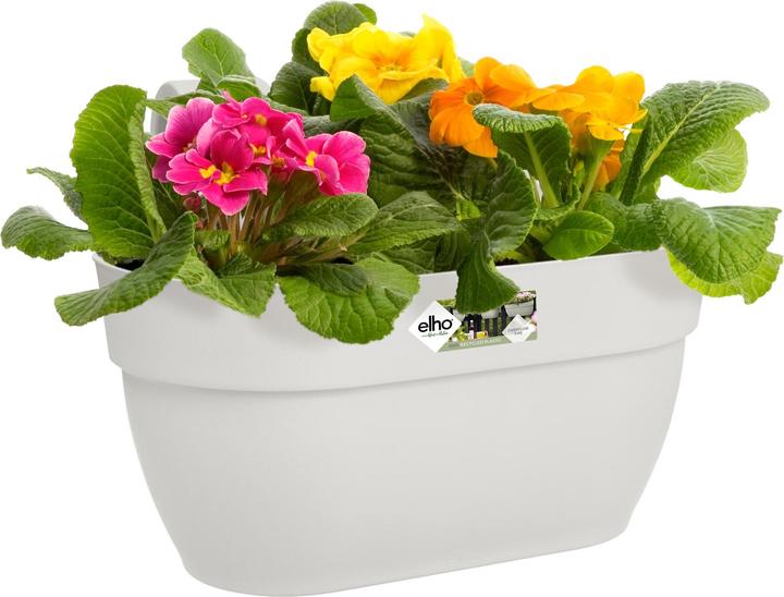 Actual product image Elho Flower Bowl (36 x 24 x 26.50 cm)