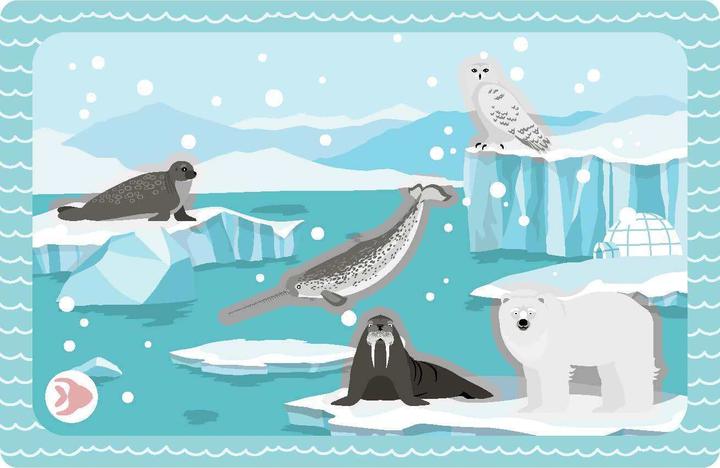 Produktbild Meine Sticker + Karten + Box - Tiere, m