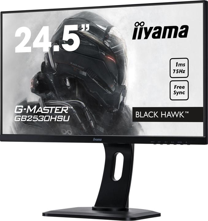 Actual product image iiyama G-Master GB2530HSU-B1 (1920 x 1080 pixels, 24.49")