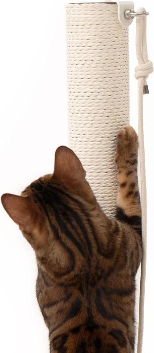 Albero tiragraffi per gatti