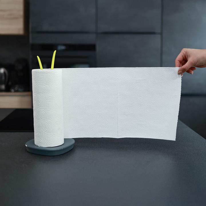 Actual product image Intirilife Holder for kitchen rolls
