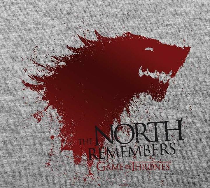 Actual product image ABYstyle GAME OF THRONES - Tshirt The North... man SS sport grey - basic (XL)