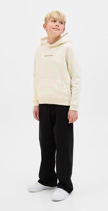 Actual product image Jack & Jones Jpstowen Fctry Fabric2 L2 Chino Pant Jnr (164)