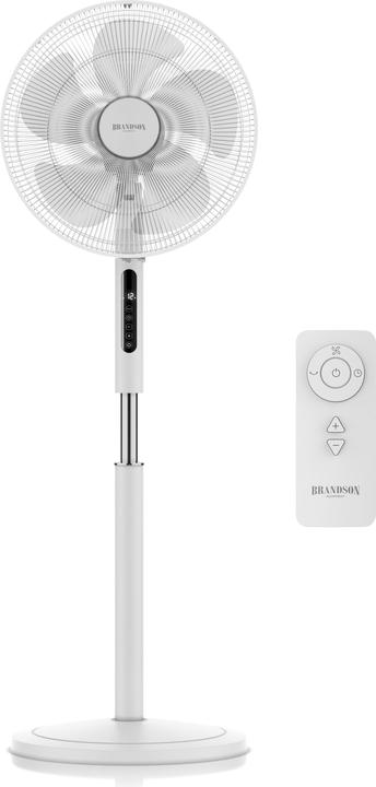 Brandson Pedestal fan (59 dB)