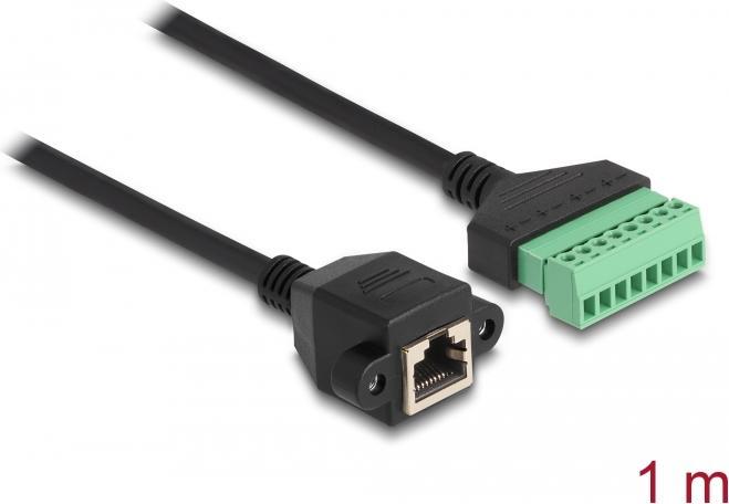 Immagine prodotto Delock Cavo RJ45 da presa Cat.6 ad adattatore per morsettiera per installazione 1 m 2 pezzi (RJ45, RJ45 (1x))
