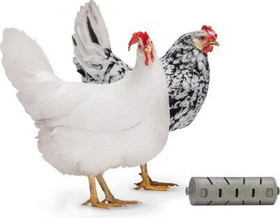 Actual product image Beeztees Feeding Station Chickens Snack Roller, Grey