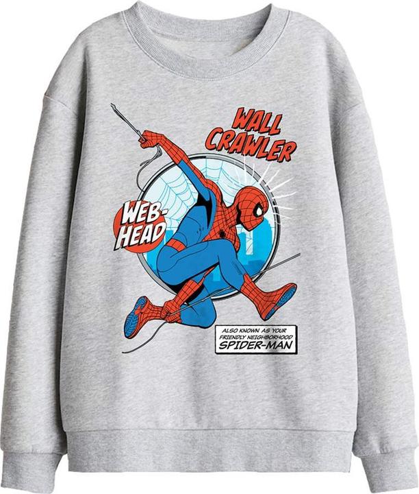 Produktbild Spiderman Friendly Neighborhood Wall Crawler Sweatshirt (128)