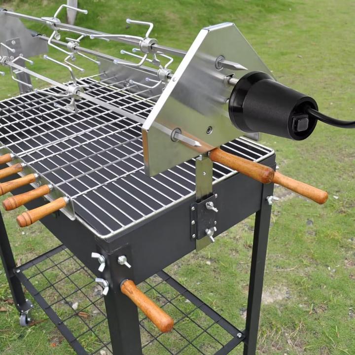 Actual product image Only Fire Grill motor
