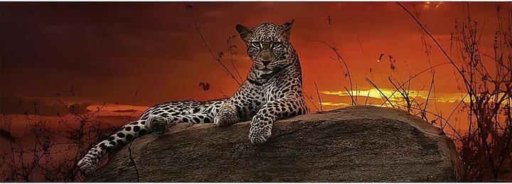 Produktbild Heye Red Dawn (2000 Teile)