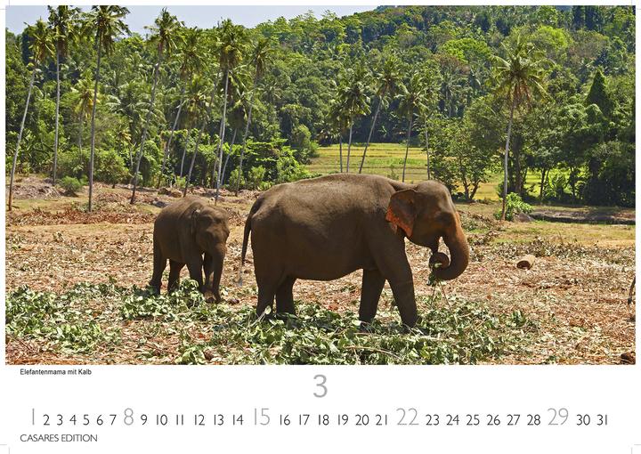 Produktbild Sri Lanka 2026 S 24x35cm (24 x 35 cm, Deutsch)