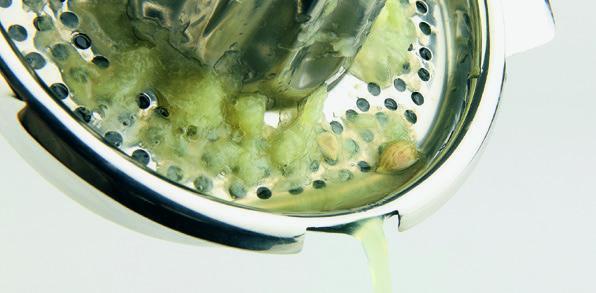 Immagine prodotto APS Zitonenpresse