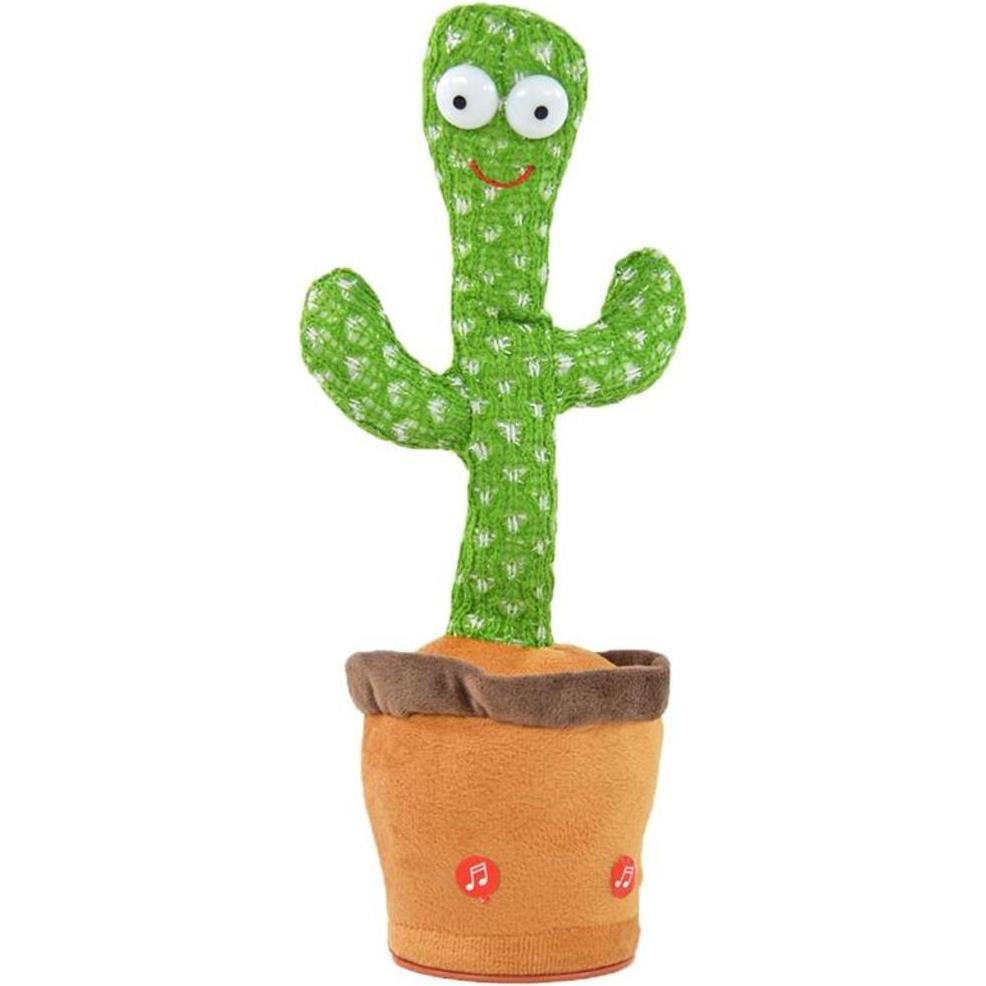 Kögler Cactus dansant (32 cm)