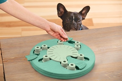 Produktbild Nina Ottosson Dog Worker Composite Level 3 (Intelligenzspielzeug Hund)